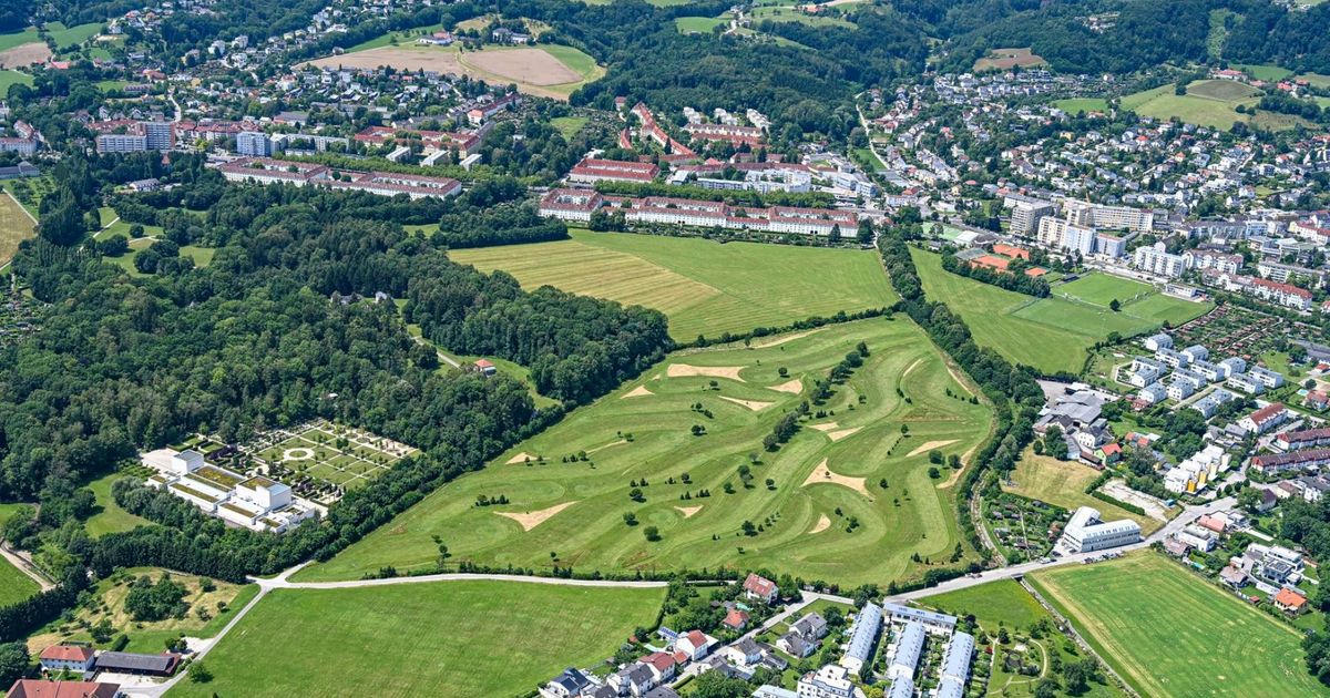 Wings for Life World Run Linz