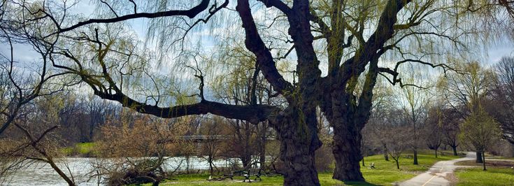 London - 1