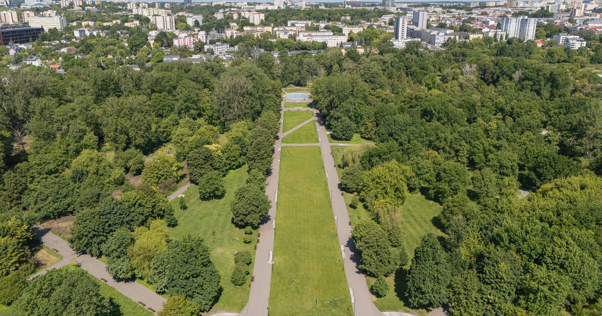 Wings for Life - Lublin