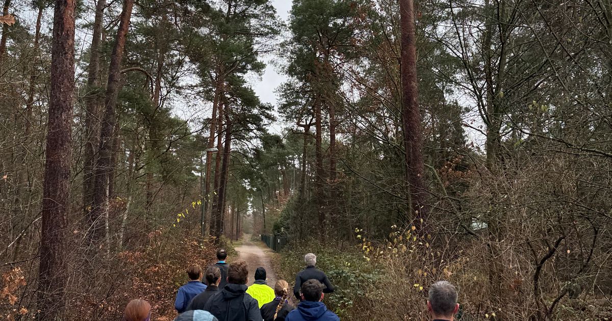 Wings for Life - Lüneburg
