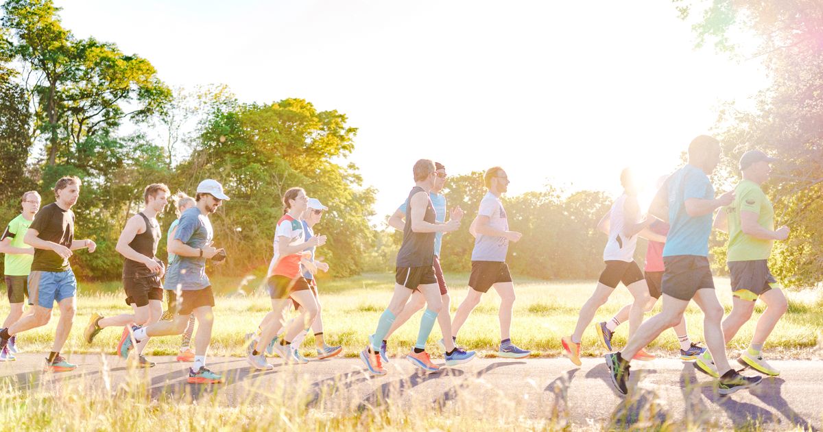 Wings for Life - Magdeburg Herrenkrug