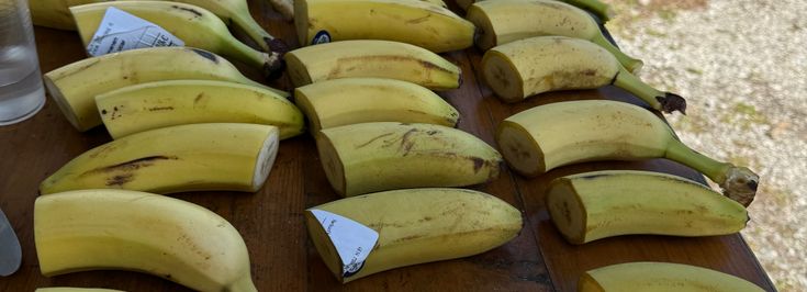 Marchtrenk Wels-Land - 1