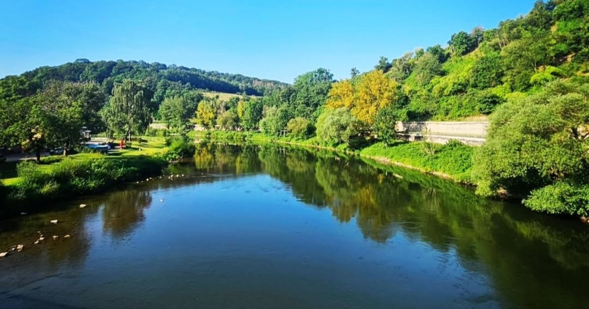 Wings for Life - Mertert