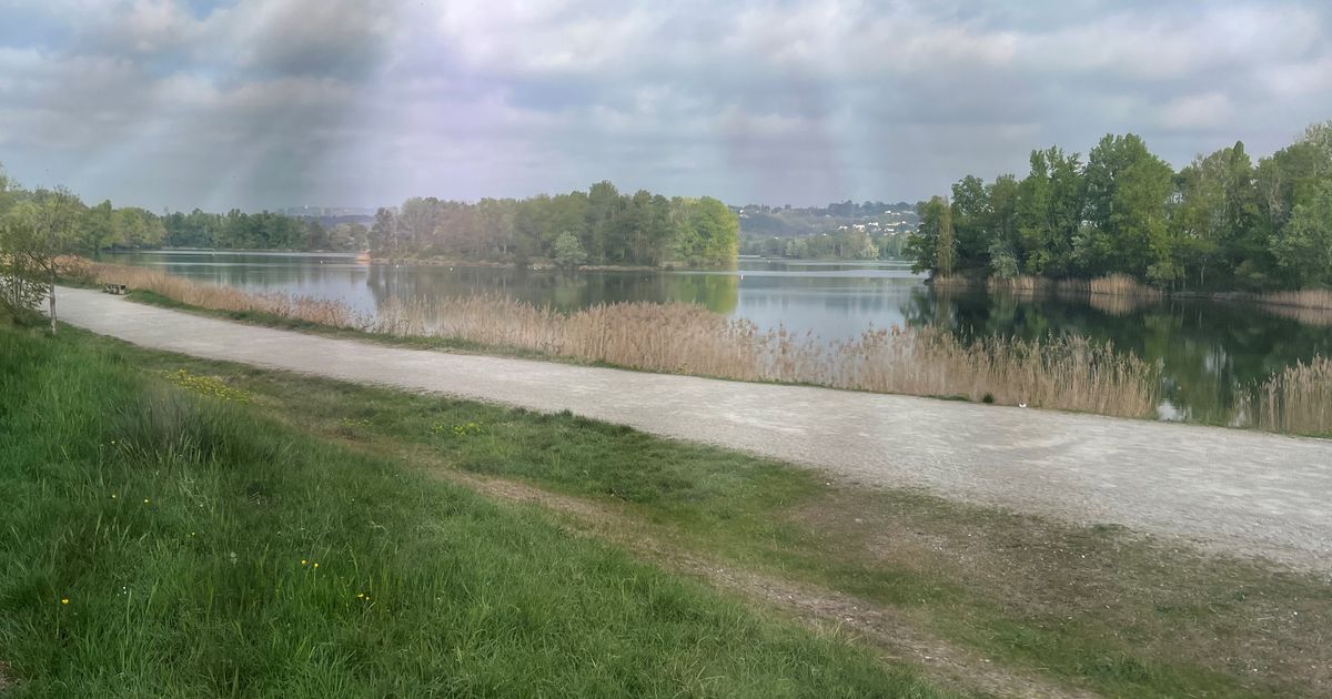 Wings for Life World Run Miribel