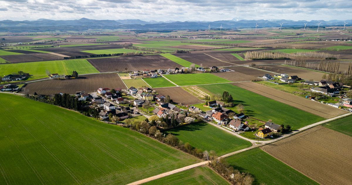 Wings for Life - Mitterau St.Pölten-Land