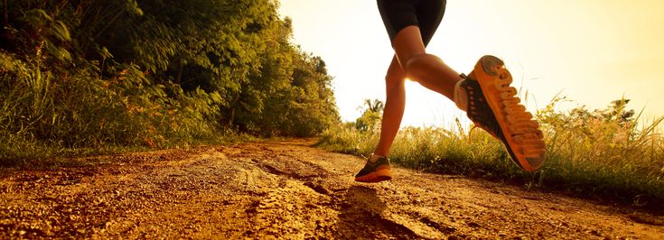 Namysłów Park Północny - 1