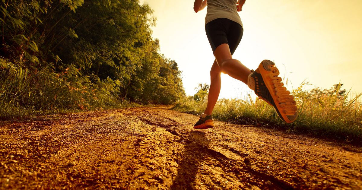 Wings for Life World Run Namysłów
