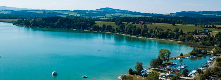 Neumarkt am Wallersee - 1