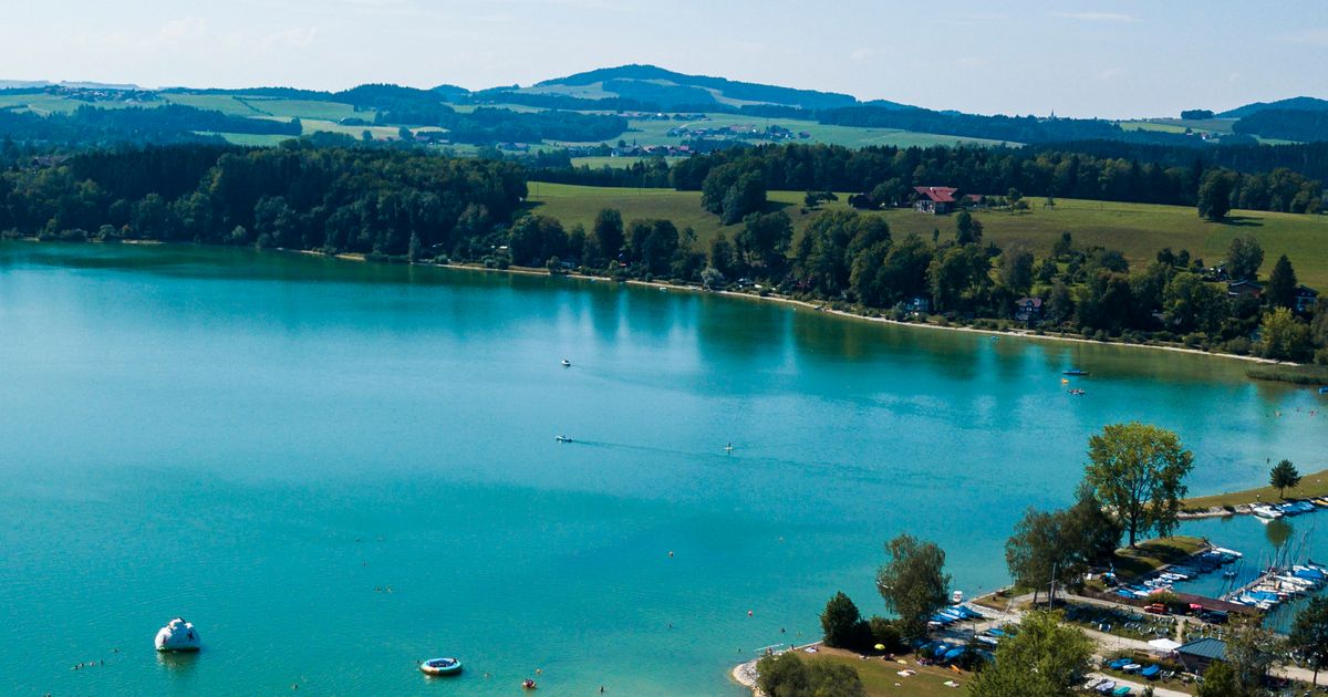 Wings for Life - Neumarkt Am Wallersee