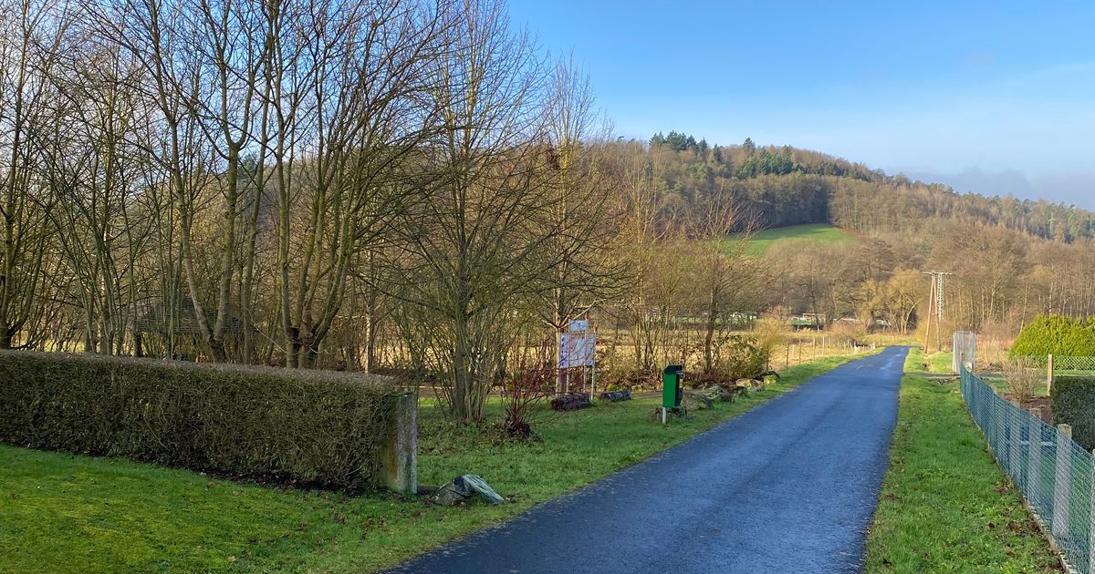 Wings for Life - Niederaula