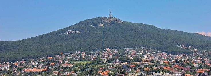 Nitra - 1