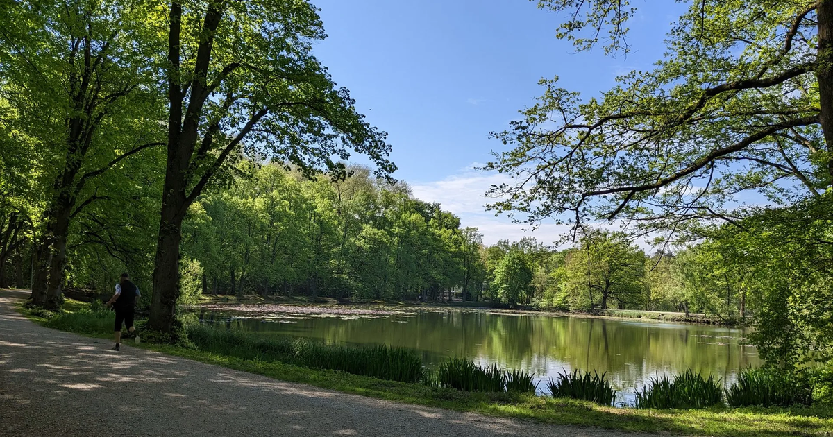 Wings for Life - Paderborn