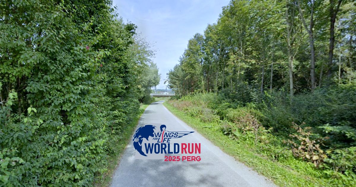 Wings for Life - Perg