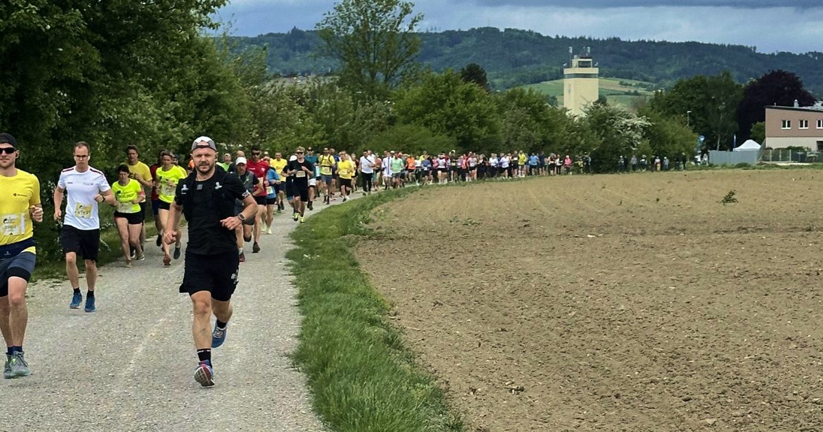 Wings for Life - Ruprechtshofen Melk