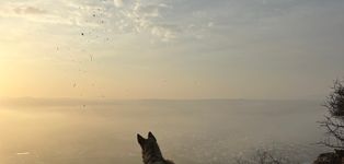 SAN Juan del Río - 3