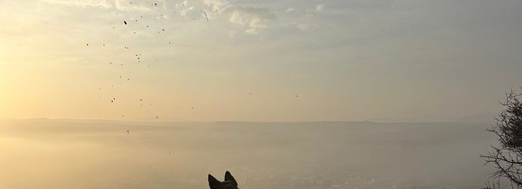 SAN Juan del Río - 3