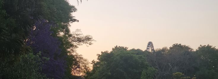 São Paulo Pinheiros - 1