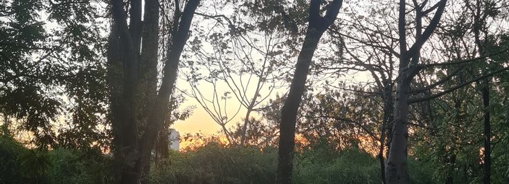 São Paulo Pinheiros - 2