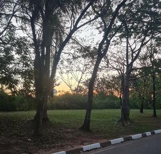 São Paulo Pinheiros - 2