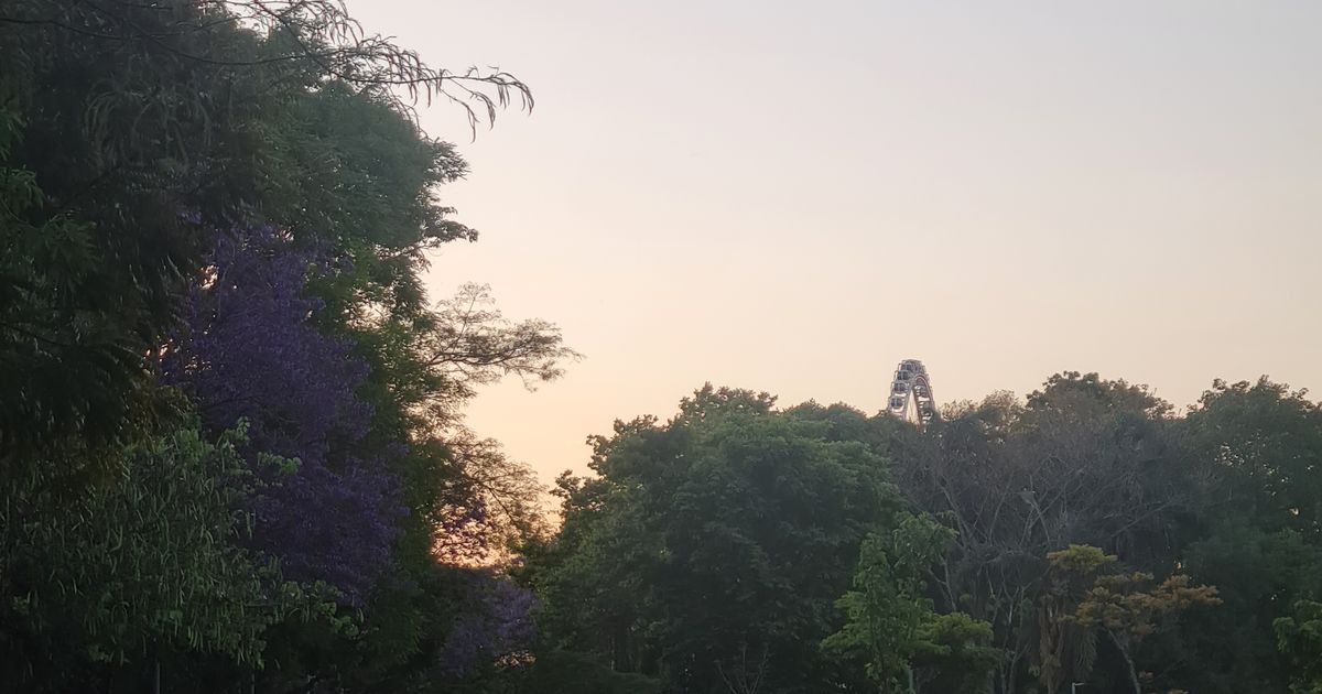 Wings for Life World Run