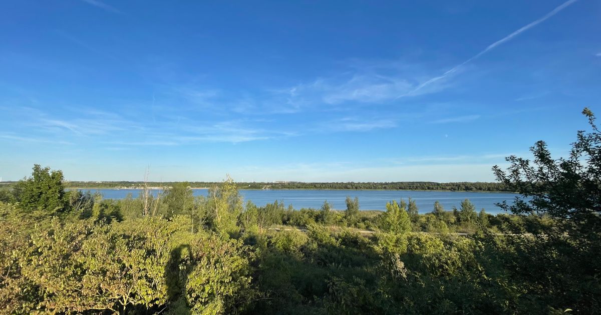 Wings for Life - Schladitzer See