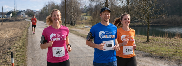 Schlatt Vöcklabruck - 1