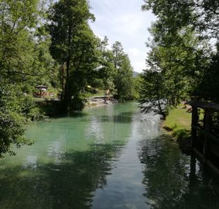 Seewalchen am Attersee VB - 2