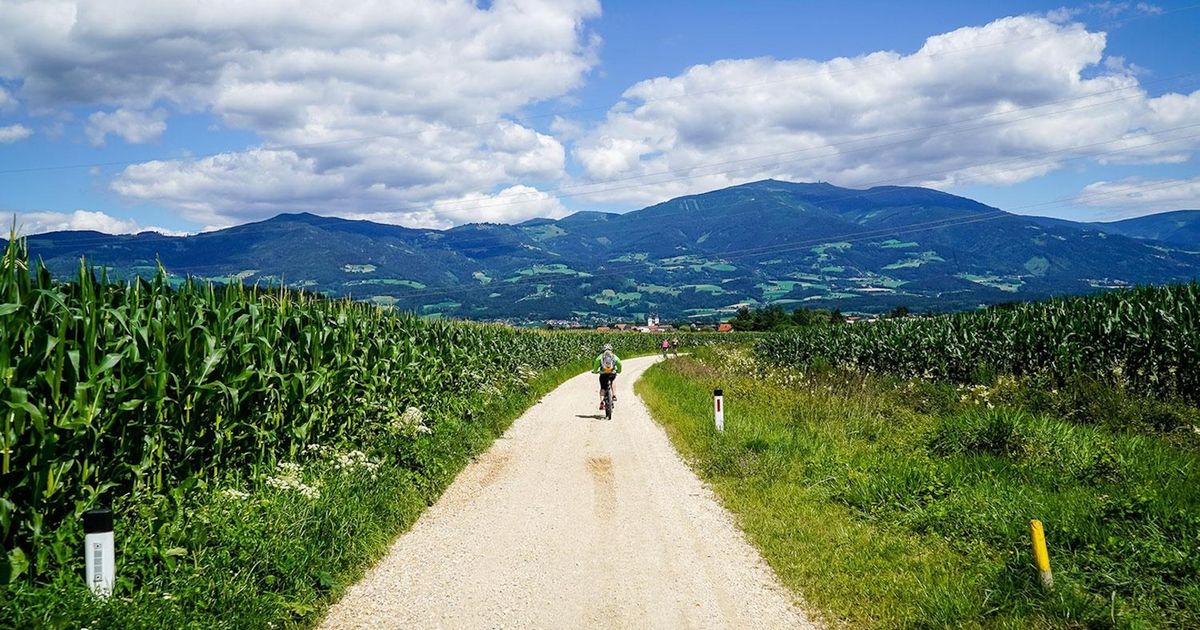 Wings for Life - St. Andrä I. Lav.