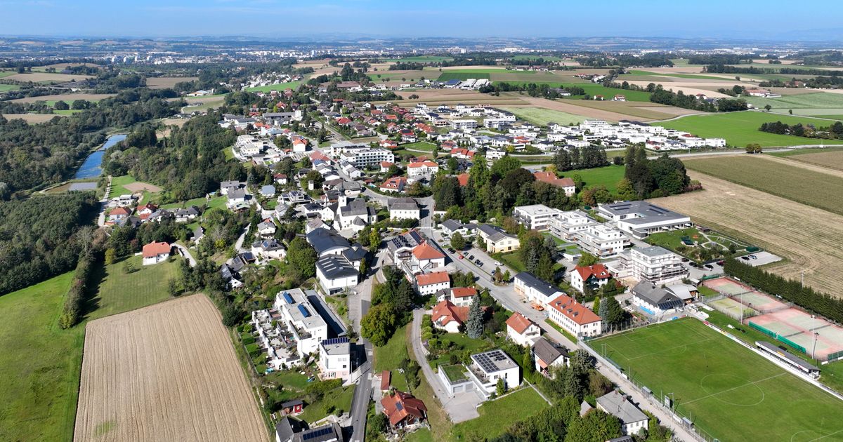 Wings for Life - Steinhaus