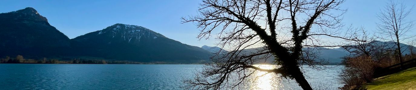 Strobl Salzburg Land