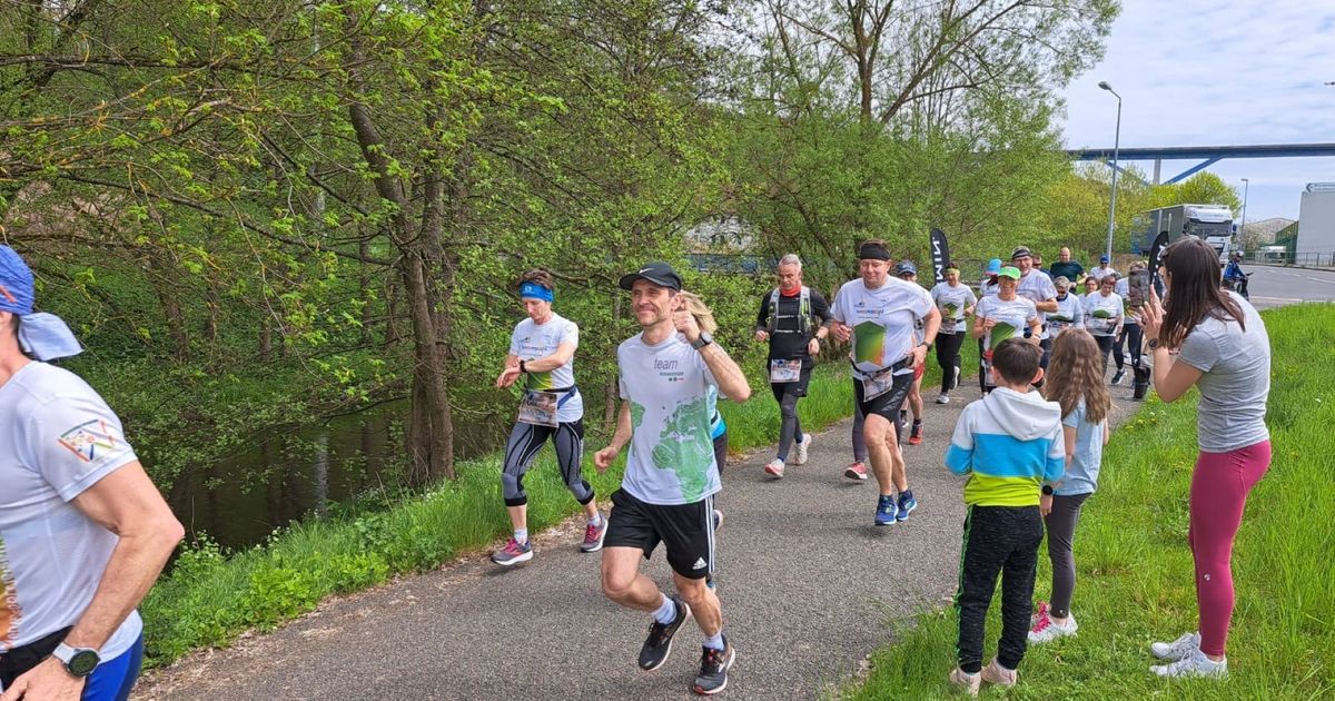 Wings for Life - Suhl