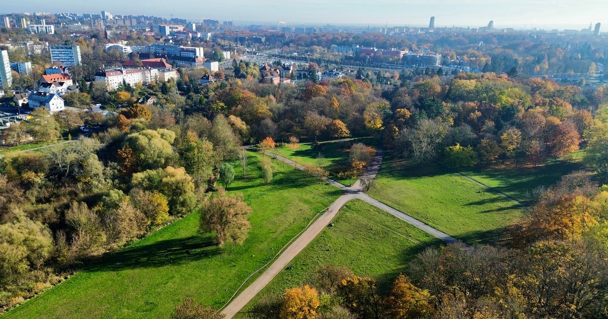 Wings for Life - Szczecin Centrum-Arkonka