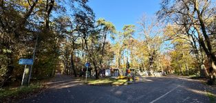 Szczecin Centrum-Arkonka - 3