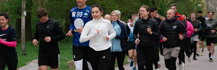 Tulln an der Donau - 1