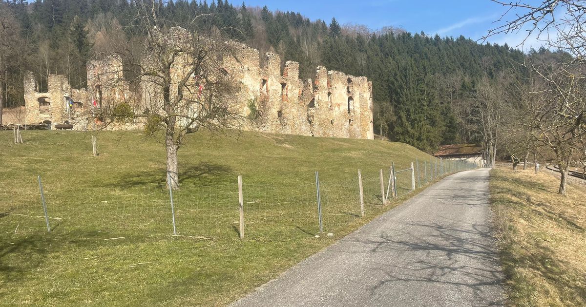 Wings for Life World Run Wang