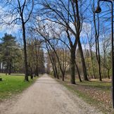 Wieluń