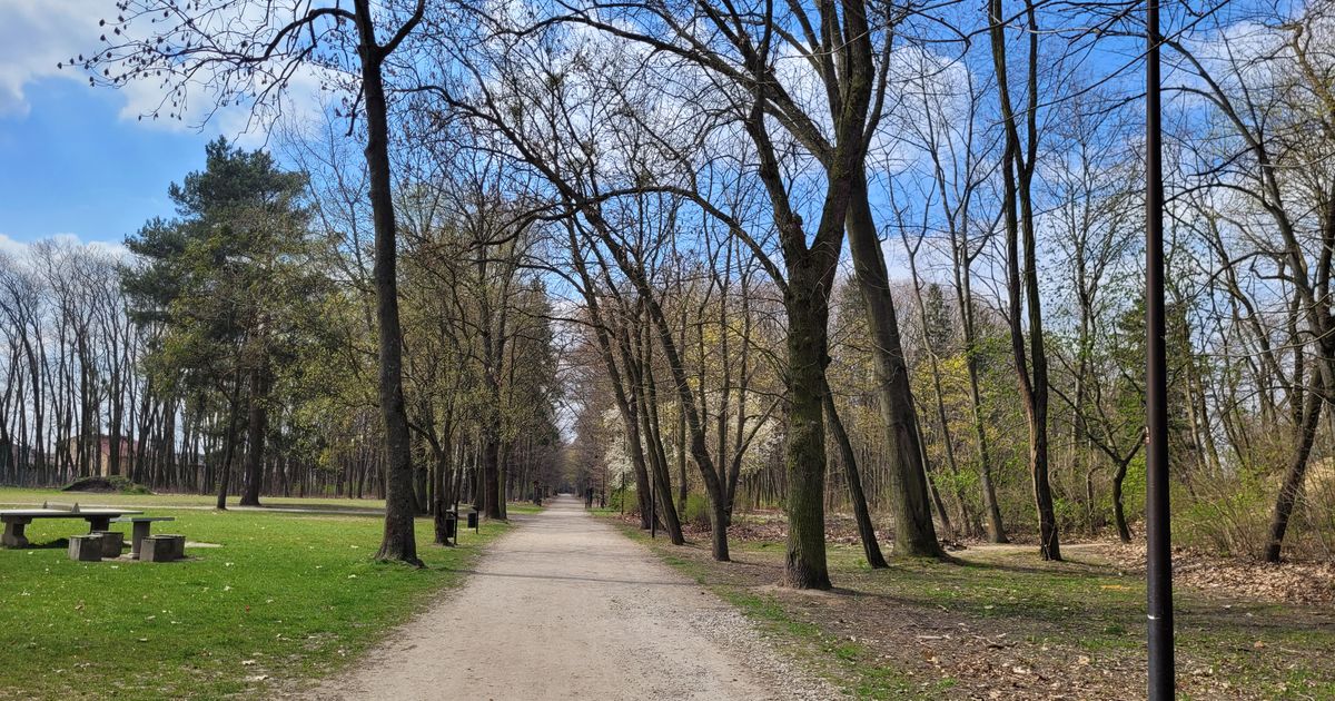 Wings for Life World Run Wieluń