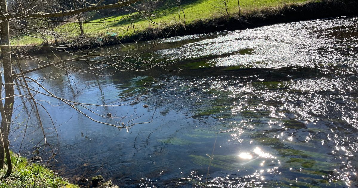 Wings for Life - Wildberg