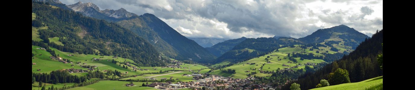 Zweisimmen