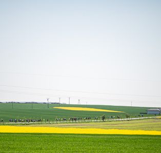 Bralin Kępno - 2