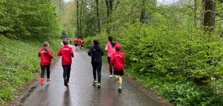 Wildberg - 3