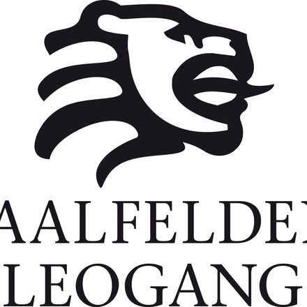 Saalfelden Leogang