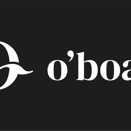 Malarnia Sp. Z o.o. – właściciel O’boats