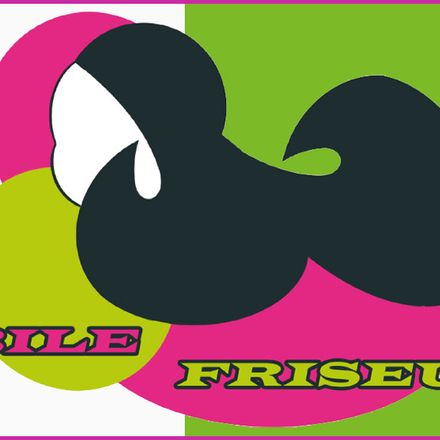 Mobile Friseurin Skina