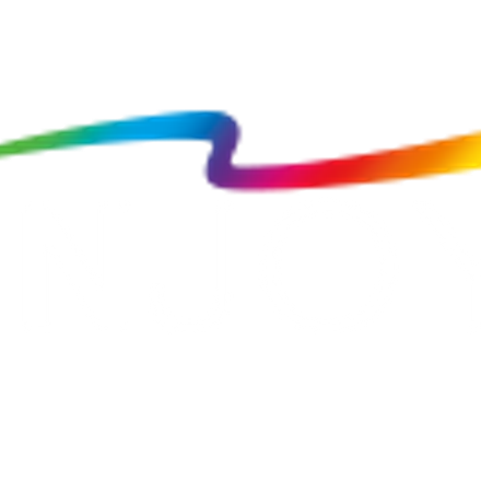 Injoy Steyr