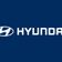 Team Hyundai NL