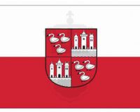 Zwickau Supports WFL