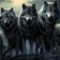 Wolfpack