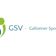 Team GSV