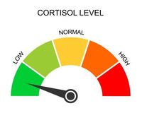 Low Cortisol
